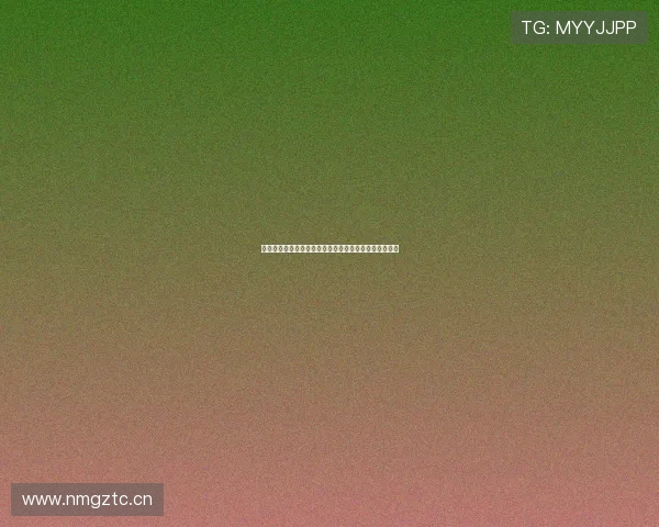 海星体育官网登录入口最新指南全面解析与操作步骤说明